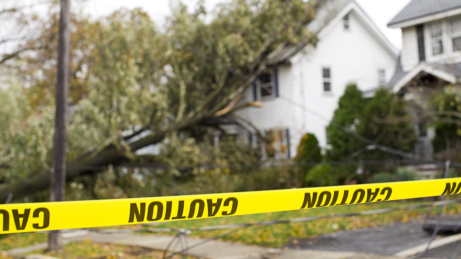 A fallen tree on a home with caution tape blocking the road. 